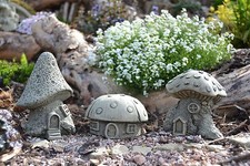 Fairy mushroom house - mushroom,