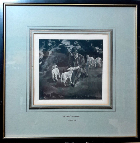 John nicolson 1891 1951 lambs - john,