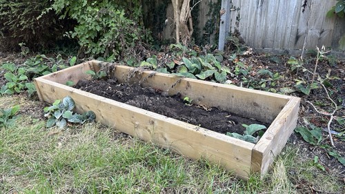 Timber frame raised - frame, bed