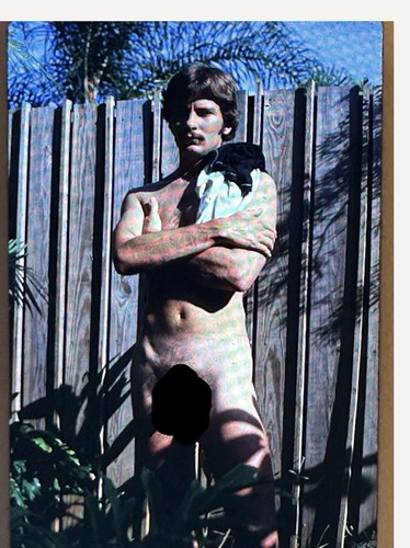 Vintage male model nude - model,