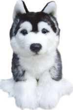 Siberian Husky teddy SIBERIAN HUSKIES soft toy dog plush toys SPITZ dogs puppy
