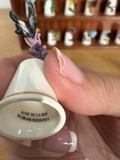 A World Of Butterflies A