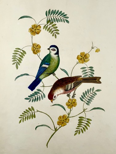1819 george brookshaw - 1819,
