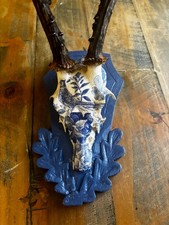 Roe Deer Skull Hand Decorated