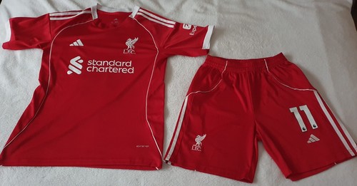 Adidas lfc 2025 - 2025/26, standard