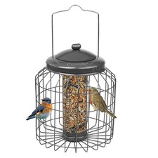 Squirrel Proof Hanging Bird