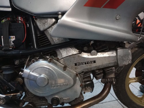 1982 ducati 600 pantah - 600, sl