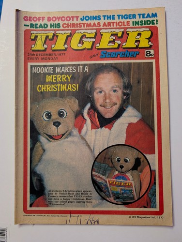 Tiger and scorcher - tiger, 24th