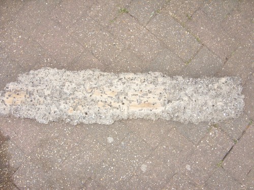 Large driftwood - large,