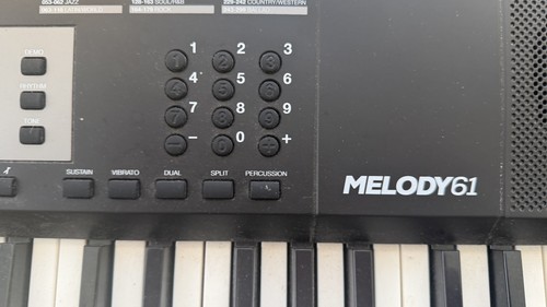 Alesis melody portable - melody,