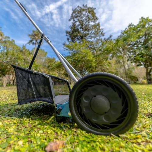 Blue american lawn - lawn, mower