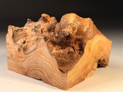 Live edge burr elm resin - burr,