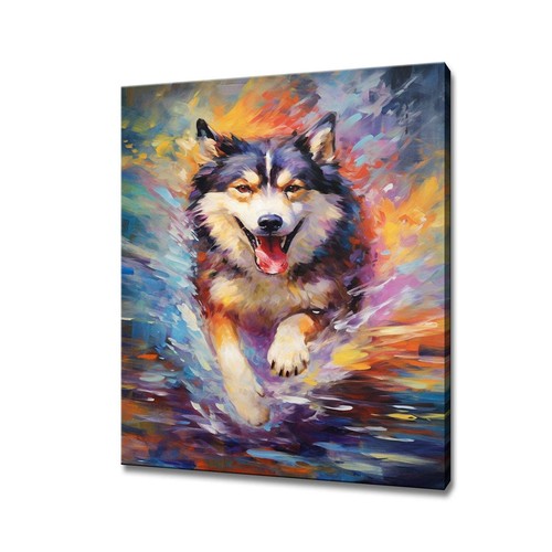 Alaskan malamute dog animal - alaskan,