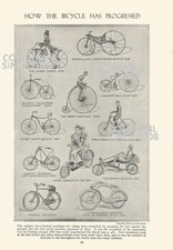  HOW THE BICYCLE HAS PROGESSED NEW& OLD FASHIONED  ILLUSTRATION PRINT 