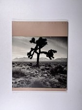 U2 The Joshua Tree Programme