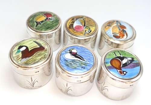 Sterling silver enamel pill - silver,