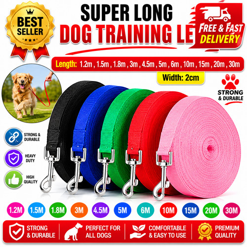 Extra long dog - long,