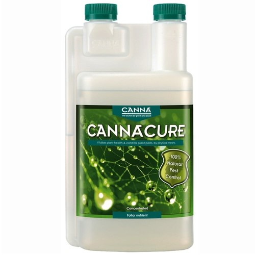 Canna cure spider mite - canna,
