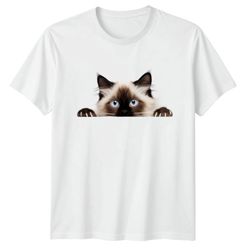 Peeking ragdoll cat face - peeking,