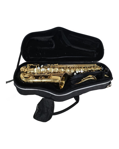 Alto saxophone trevor - saxophone, sr