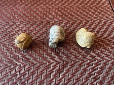 Non”wood” Netsuke Set