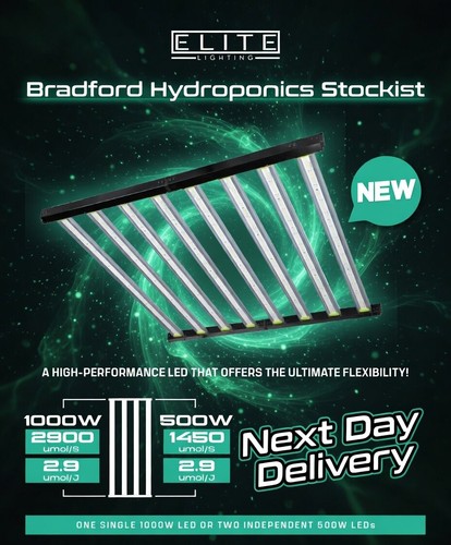 Elite led 500w 1000w - led, light