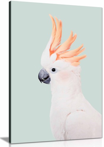 Cockatoo canvas print framed - print,,