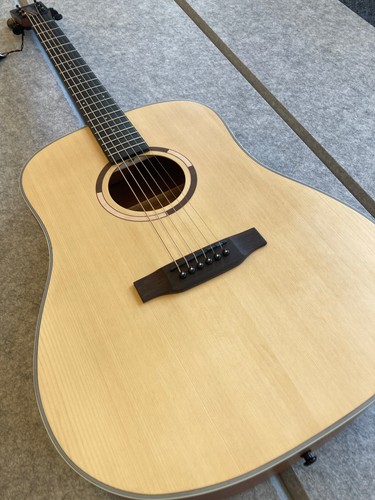 Acoustic guitar strada - guitar,