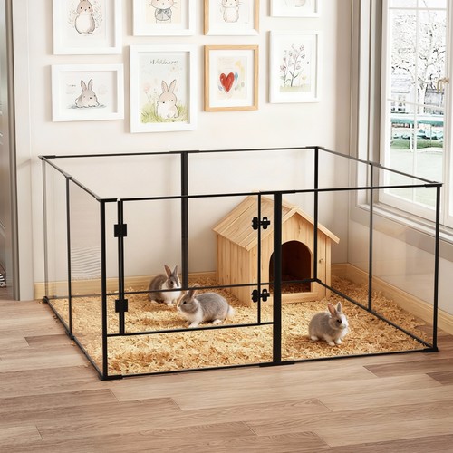 Bingopaw panel pet puppy - bingopaw,