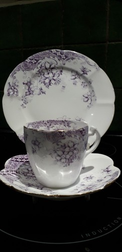 Shelley foley wileman cup - foley,