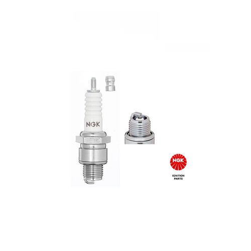 Spark plug beetle bug - spark, t2