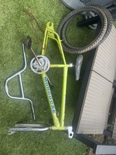 Rare Midschool Mongoose Menace