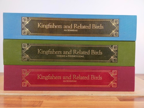 Kingfishers and related - kingfishers,