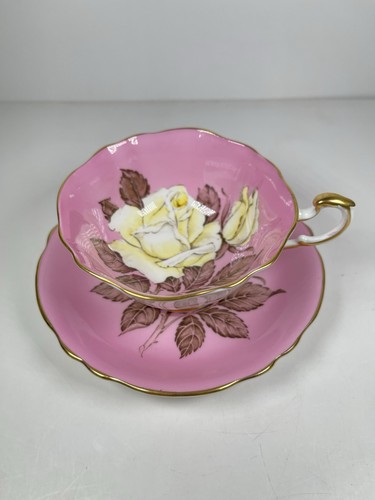 Paragon cabbage rose pink - cabbage,