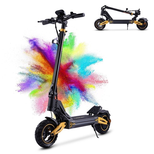 Twofish foldable scooter - foldable, e-scooter