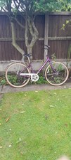 Raleigh caprice pioneer - ,