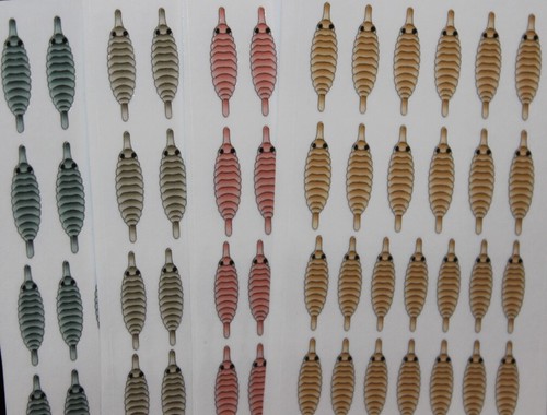 Fly tying shrimp backs vinyl - backs,