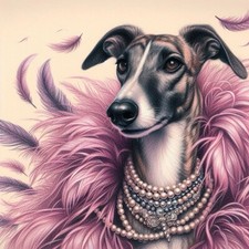 Glamorous Greyhound , Lurcher
