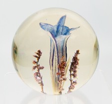 Beautiful Hippocampus