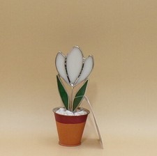 Stained Glass White Tulip in