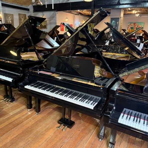 Bechstein model grand - model,