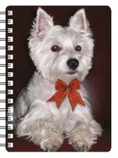 West Highland White Terrier