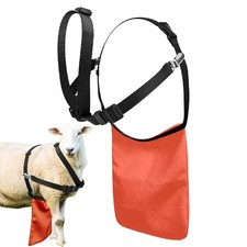 Anti Mating Anti Breeding