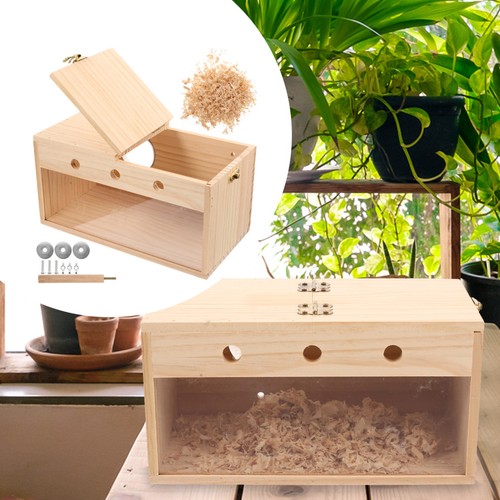Wooden birdhouse parakeet - wooden,