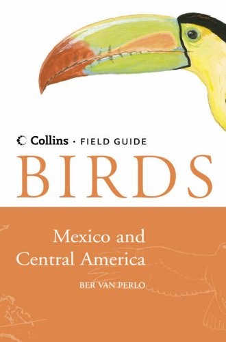 Birds mexico and central - birds, of