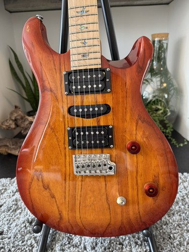 Prs paul reed smith swamp - paul,
