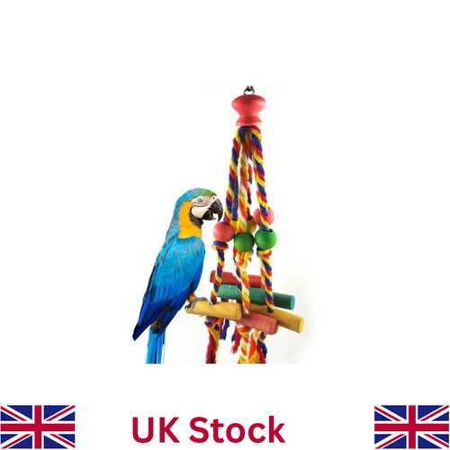 Bird toys parrot - parrot, for