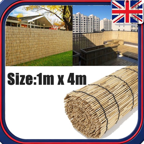 Natural reed screening - natural,