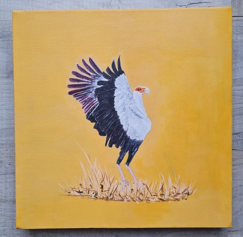 Secretary bird african - secretary, bird.