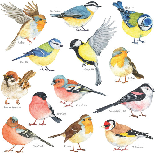 Decowall ds2 8038 little birds - ds2-8038,
